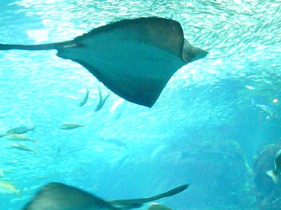 f0111695_14453822.jpg