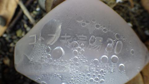 a0125598_20593277.jpg