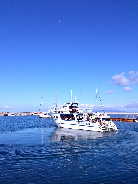 f0121701_20245690.jpg