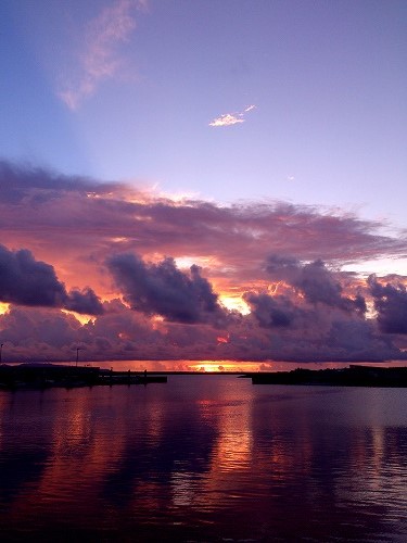 f0121701_20404069.jpg