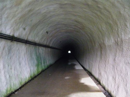 琵琶湖遠征 西野放水路 50up出た あんにゅいん 陶芸猫さん