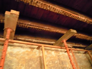e0206902_21724.jpg