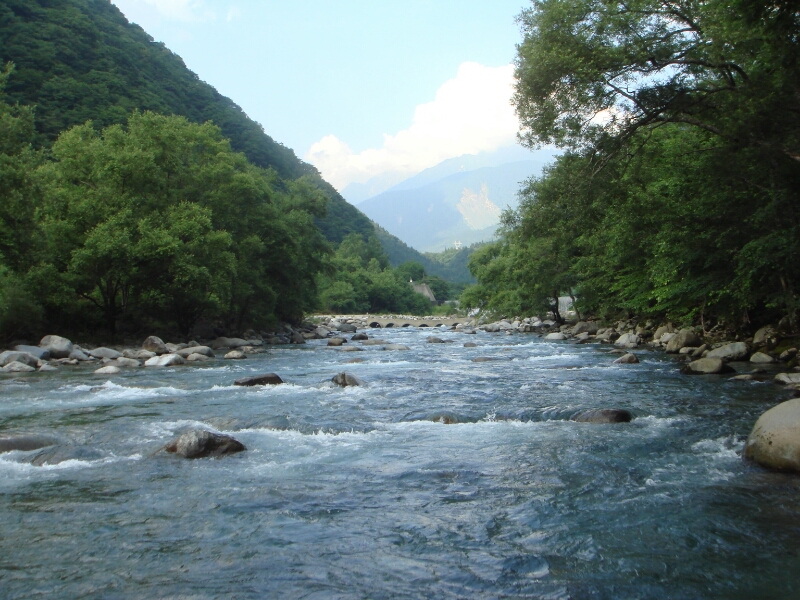 f0266202_27475.jpg