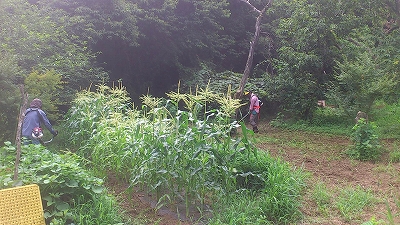 e0270403_0441160.jpg
