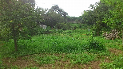 e0270403_0452241.jpg