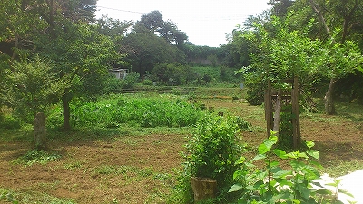 e0270403_046923.jpg