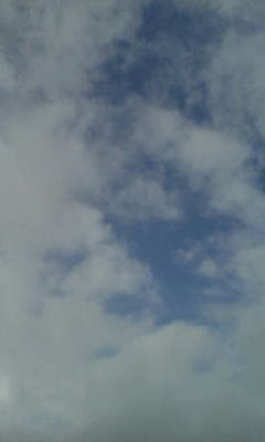 やっと見えた青空・・・・どうか消えないで!_d0026905_6461435.jpg