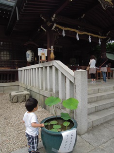 b0044706_22154692.jpg