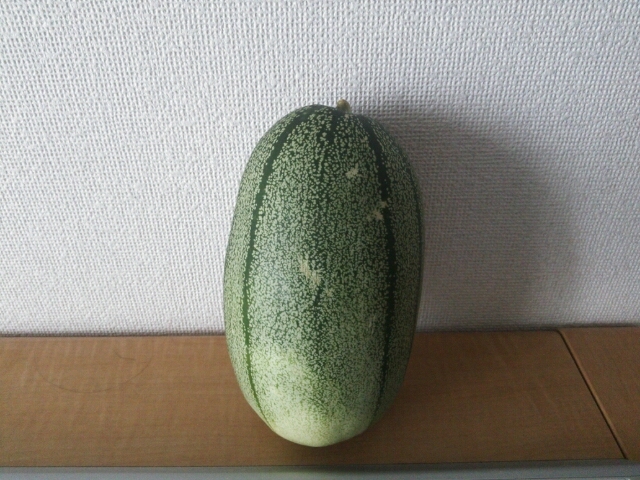 e0278508_1959086.jpg