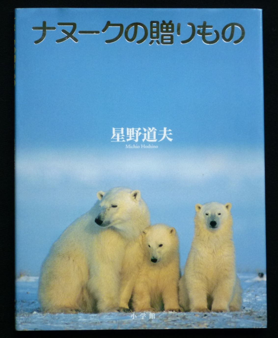 星野道夫　シロクマ親子ポスター 星野道夫の旅 A4クリアファイル3枚セットA | 星野道夫オンライン