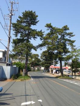 東海道2013　3-② 5/3~4_d0092413_1503788.jpg