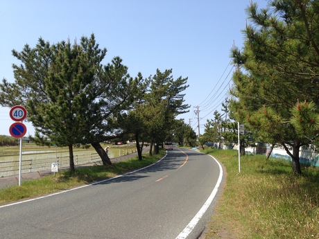 東海道2013　3-② 5/3~4_d0092413_1523412.jpg