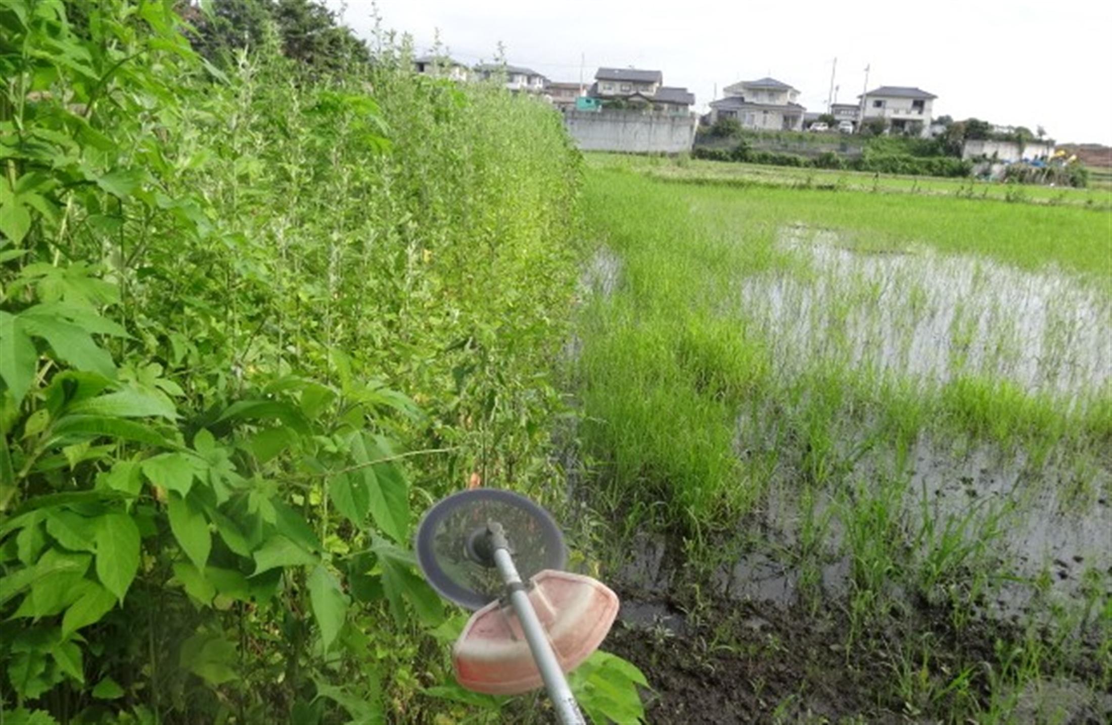 お山に行かない週末…伊達塾とお山の集い(^^)/_a0127015_14133586.jpg