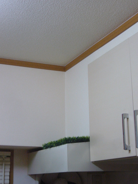 c0213920_1050149.jpg