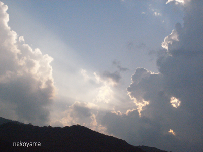 c0162823_0531498.jpg
