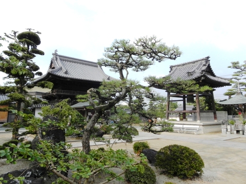 f0213825_8162346.jpg