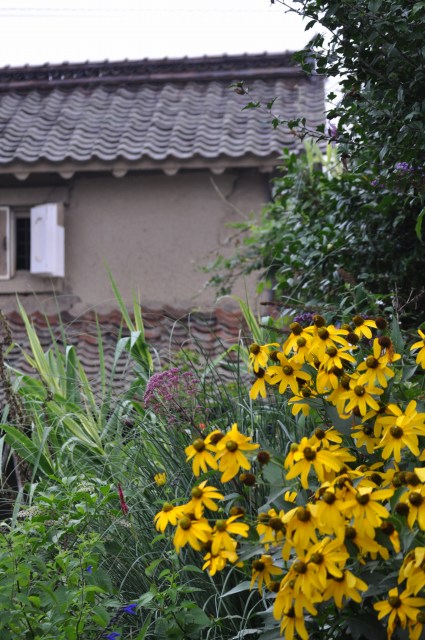 ﾎﾞｰﾎﾞｰﾀﾞｰ Mosquitogarden