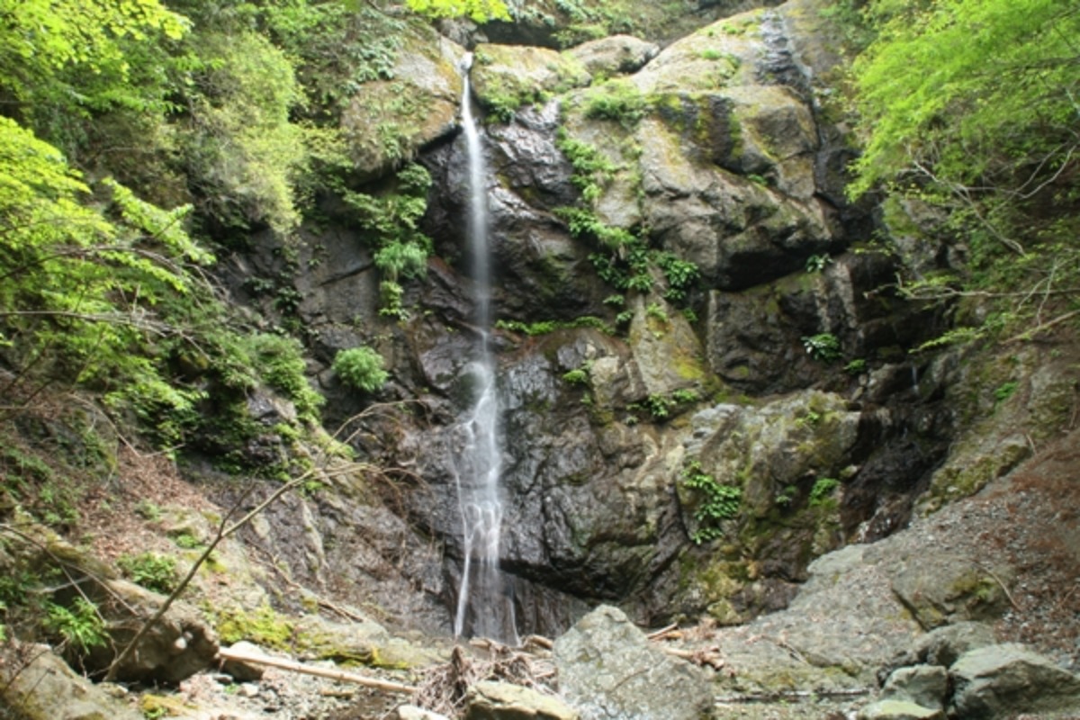 e0033229_22274719.jpg
