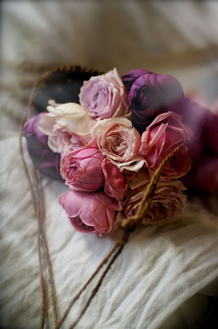 THE SALOON……薔薇とオペラの夕べ。_e0044929_14592541.jpg