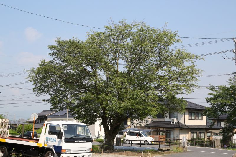 スバルが放つ最良の限定車_f0076731_20174256.jpg