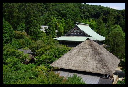 北鎌倉　円覚寺の風景２_d0185744_783051.jpg