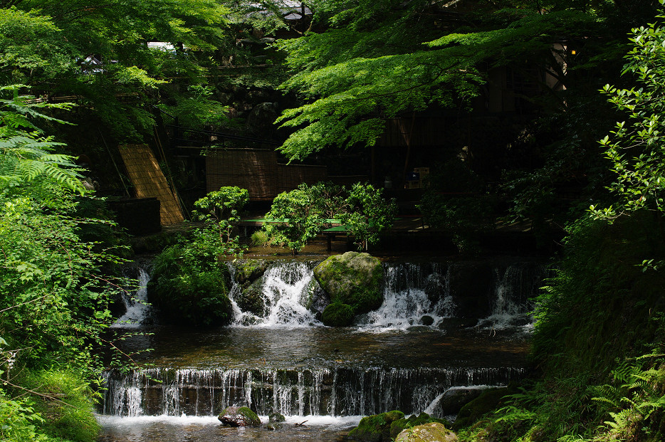 2013夏写真　貴船神社・七夕笹飾り　〜後編〜_f0152550_16501812.jpg