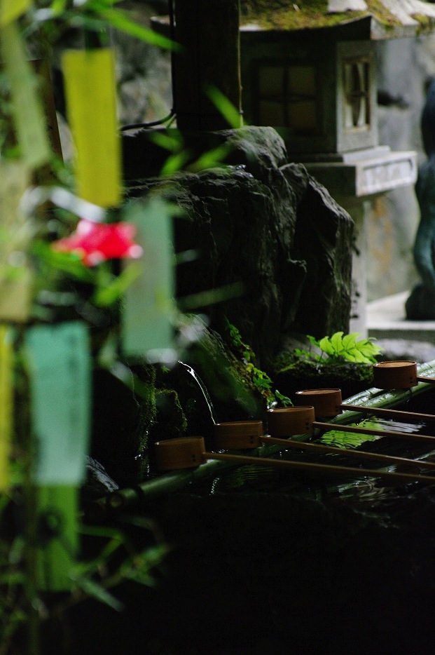 2013夏写真 貴船神社・七夕笹飾り 〜後編〜_f0152550_16511462.jpg