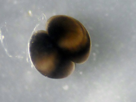 e0164951_00294.jpg