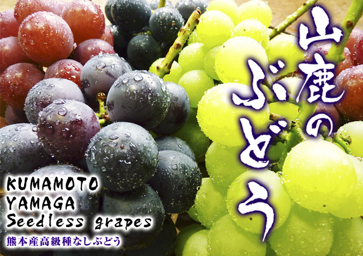熊本の最旬「美味かもん」をご紹介 vol.7_a0254656_16255279.jpg