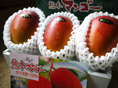熊本の最旬「美味かもん」をご紹介 vol.7_a0254656_1747236.jpg