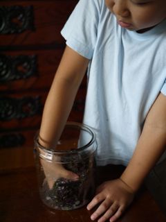 c0008664_14452620.jpg