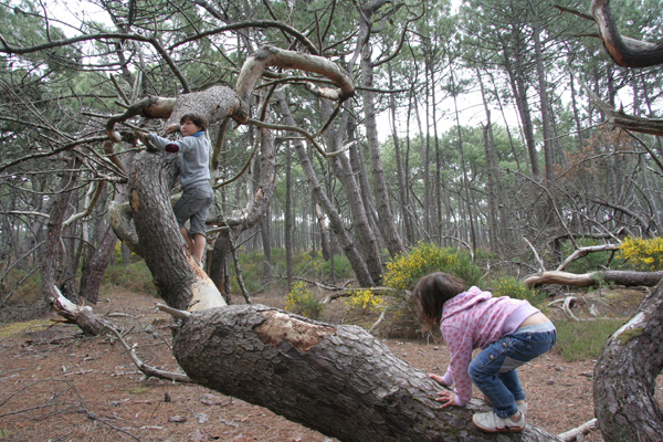 南仏旅行 mimizan 後半篇_f0088464_712428.jpg