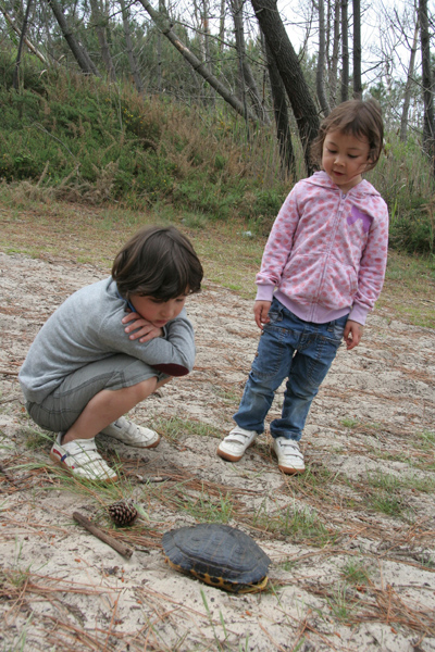 南仏旅行 mimizan 後半篇_f0088464_7503236.jpg