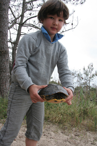 南仏旅行 mimizan 後半篇_f0088464_7523121.jpg