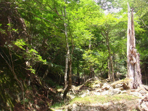 f0223480_23593824.jpg