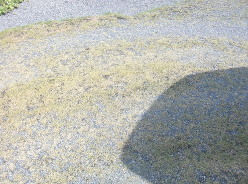 e0216090_9252870.jpg