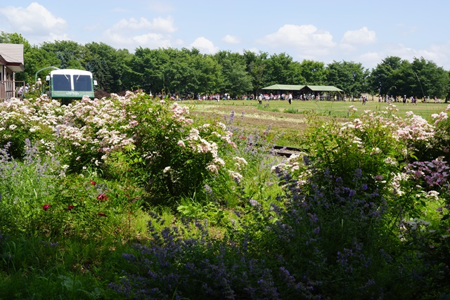 d0181492_11521885.jpg