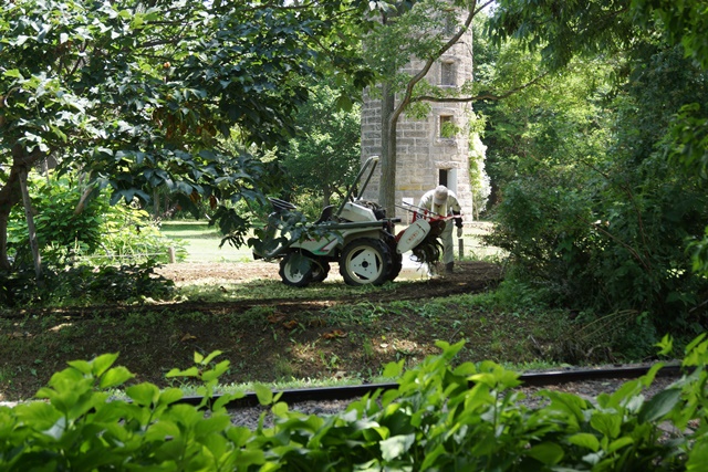 d0181492_11524283.jpg