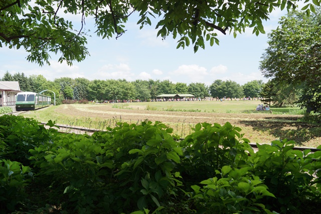 d0181492_11532223.jpg