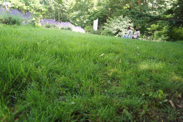 d0181492_11553374.jpg