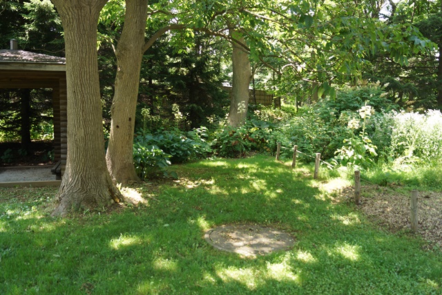 d0181492_11575711.jpg