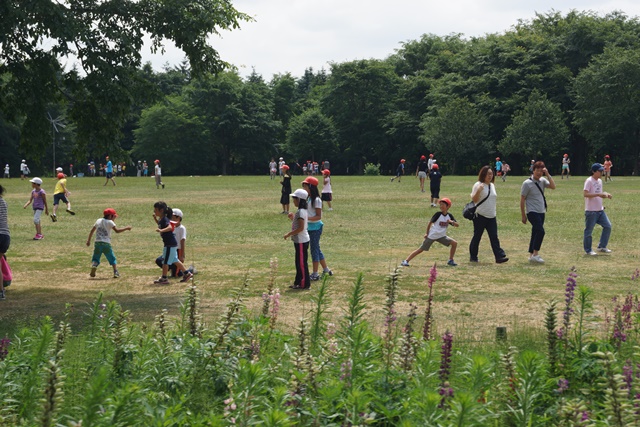 札幌百合が原公園素敵~、綺麗な百合の花百合が原公園、日本一のユリの花、日本の子供の輝く未来_d0181492_628165.jpg