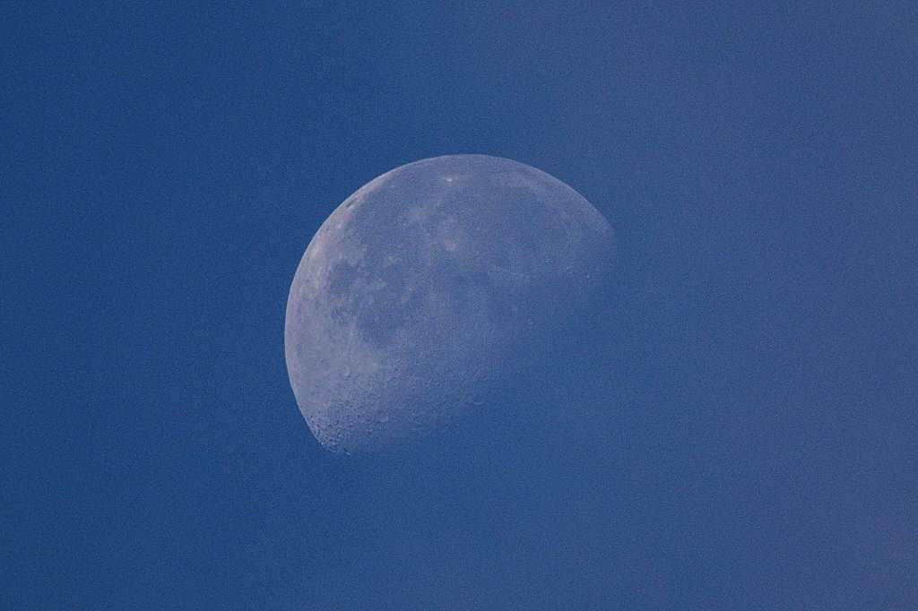 b0024798_10255016.jpg