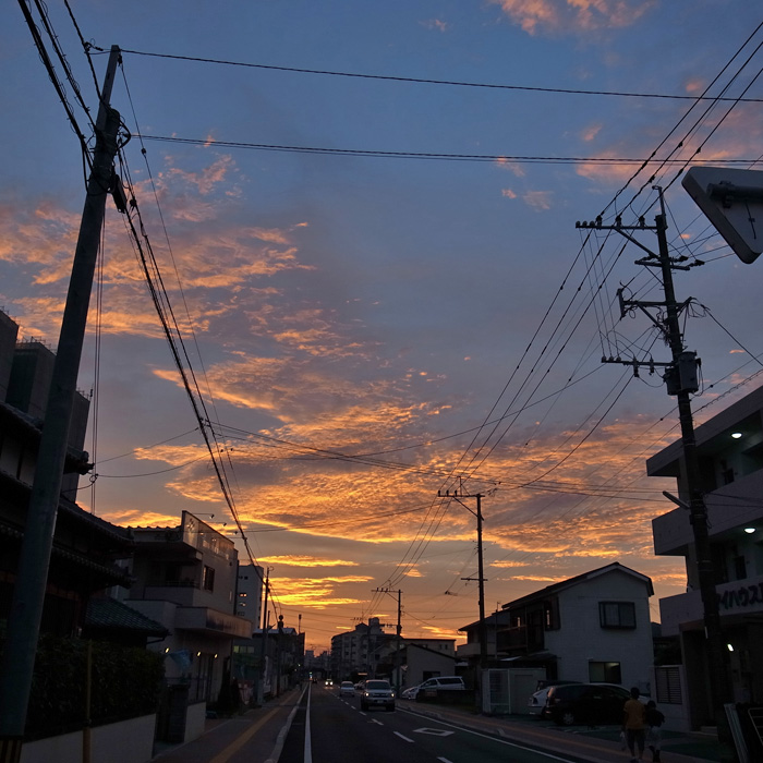 真夏の発見(近況報告)_c0049299_11533671.jpg