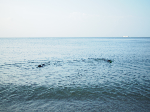 海を堪能した週末_c0050400_17465366.jpg