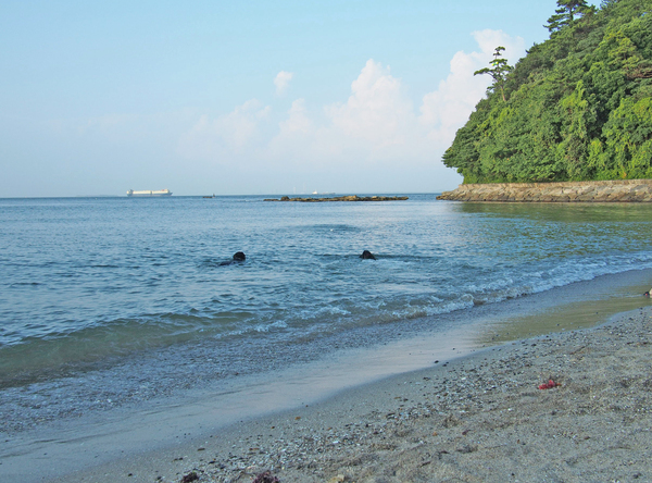 海を堪能した週末_c0050400_17504753.jpg