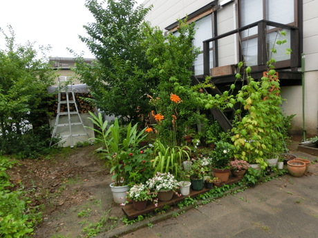 a0203003_9554034.jpg
