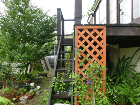 a0203003_956990.jpg