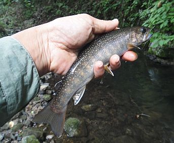 b0172805_2105345.jpg