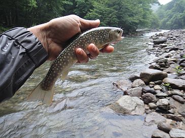 b0172805_2121472.jpg